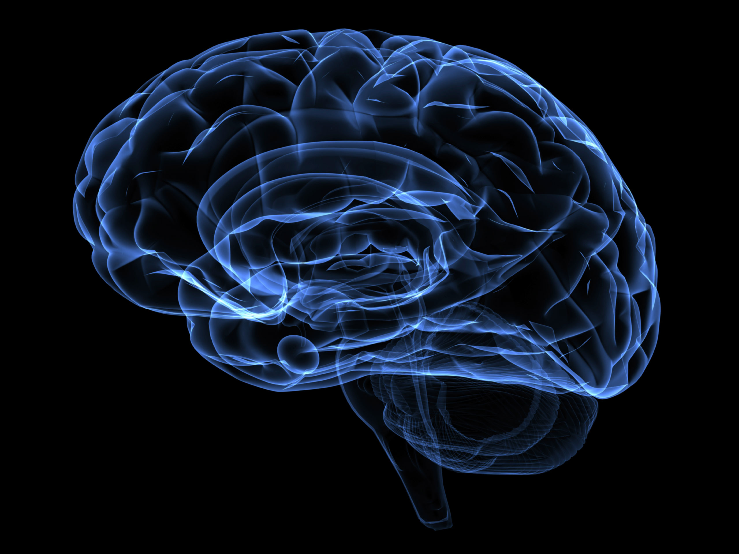 Resultado de imagem para imagem cerebro interligado